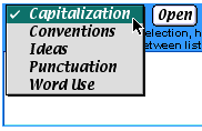 screen shot of the pulldown menu - Capitalization is highlighted and checked and the pointer is over this word